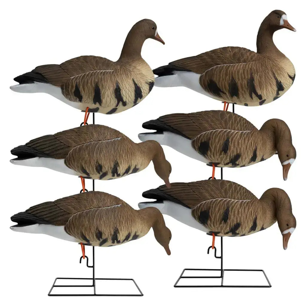 Hardcore Rugged Series Full Body Specklebelly Goose Decoys | 6-Pack