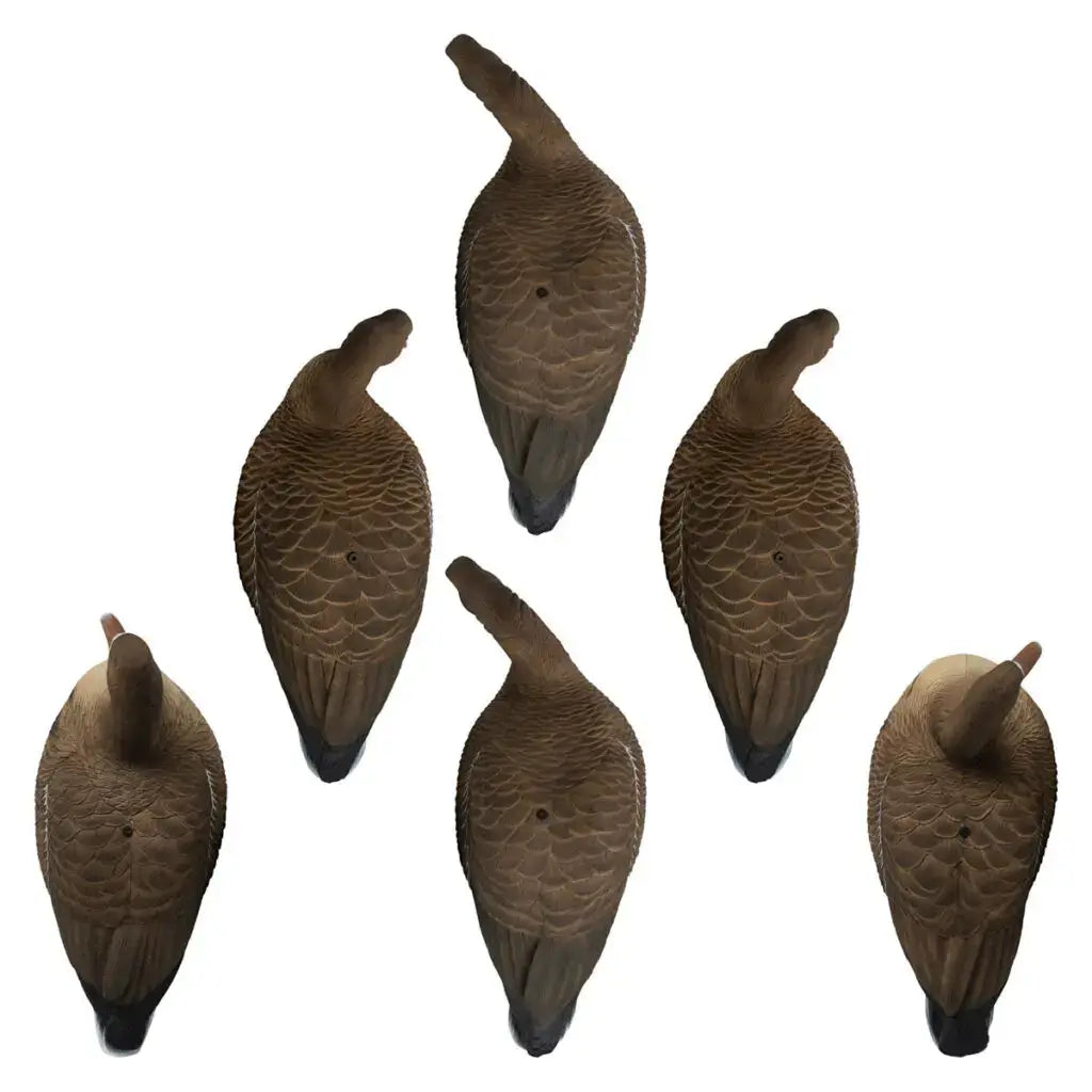 Hardcore Rugged Series Full Body Specklebelly Goose Decoys | 6-Pack