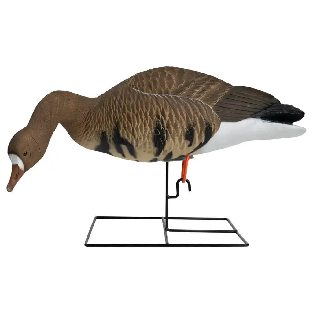 Hardcore Rugged Series Full Body Specklebelly Goose Decoys | 6-Pack