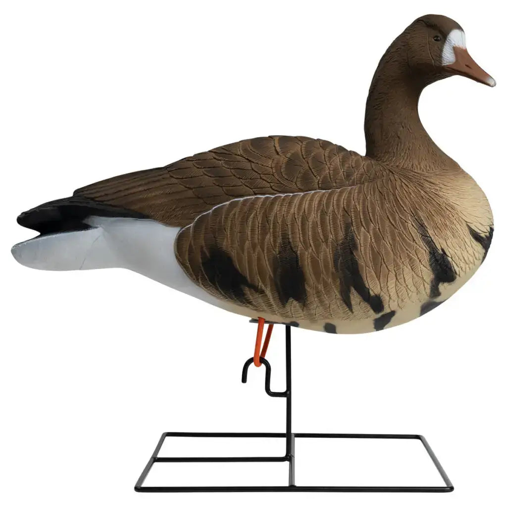 Hardcore Rugged Series Full Body Specklebelly Goose Decoys | 6-Pack