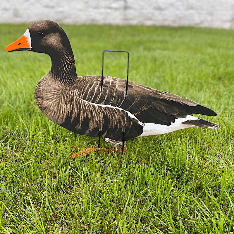 Real Geese Econo Specklebelly Silhouette Decoys | 12-Pack