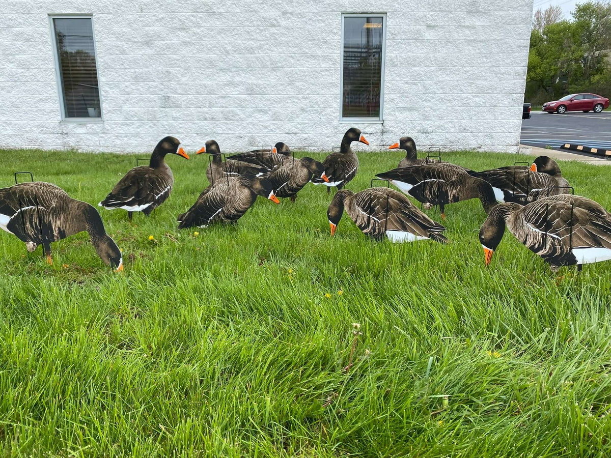 Real Geese Econo Specklebelly Silhouette Decoys | 12-Pack