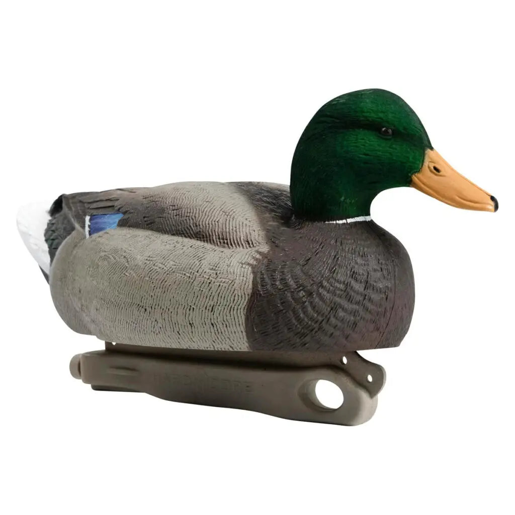 Hard Core Rugged Series Mallard Floater Decoys | Flocked Drakes, 6-Pack