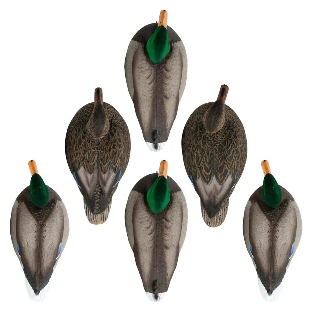 Hard Core Rugged Series Mallard Floater Decoys | Flocked Drakes, 6-Pack